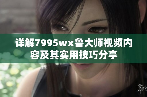 详解7995wx鲁大师视频内容及其实用技巧分享