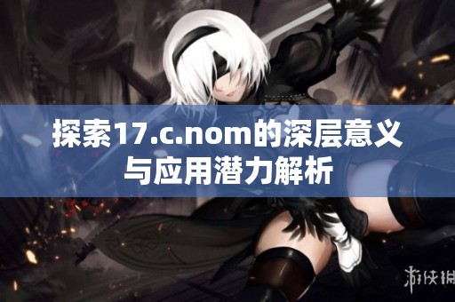 探索17.c.nom的深层意义与应用潜力解析