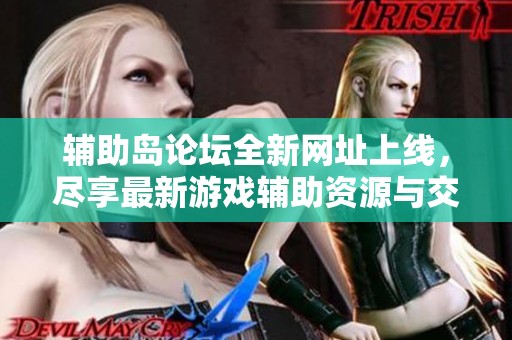辅助岛论坛全新网址上线，尽享最新游戏辅助资源与交流平台