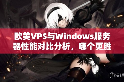 欧美VPS与Windows服务器性能对比分析，哪个更胜一筹