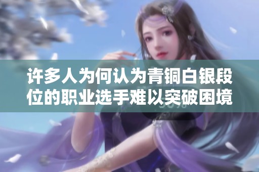 许多人为何认为青铜白银段位的职业选手难以突破困境