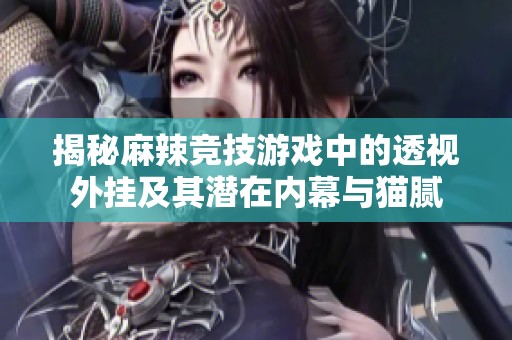 揭秘麻辣竞技游戏中的透视外挂及其潜在内幕与猫腻