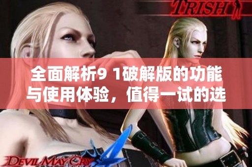 全面解析9 1破解版的功能与使用体验，值得一试的选择吗