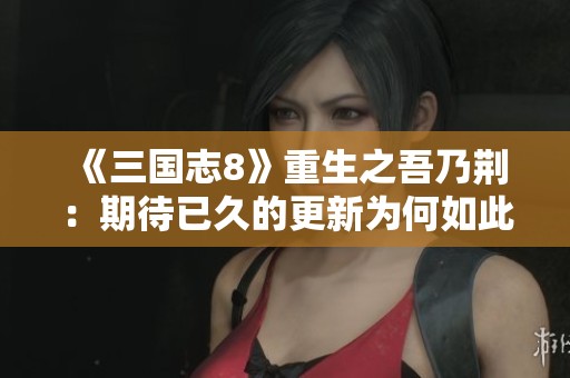 《三国志8》重生之吾乃荆：期待已久的更新为何如此缓慢？