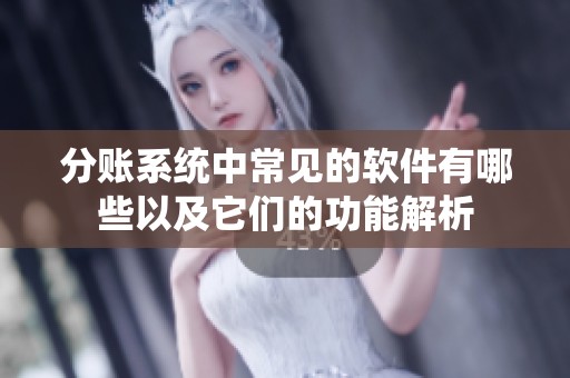 分账系统中常见的软件有哪些以及它们的功能解析