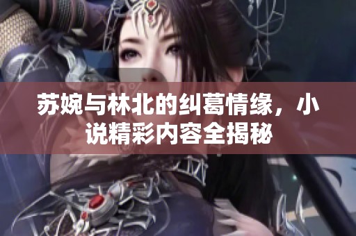 苏婉与林北的纠葛情缘，小说精彩内容全揭秘