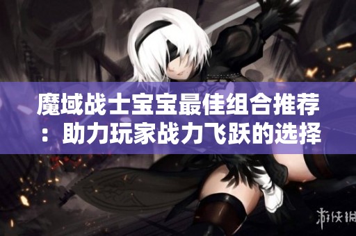 魔域战士宝宝最佳组合推荐：助力玩家战力飞跃的选择指南