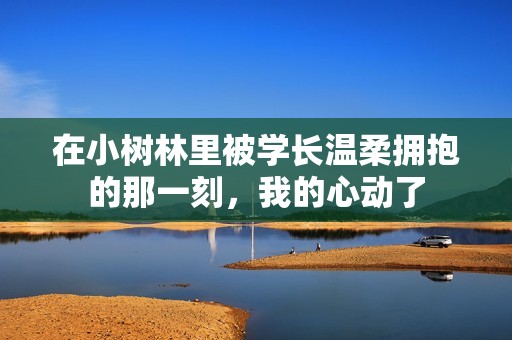 在小树林里被学长温柔拥抱的那一刻，我的心动了