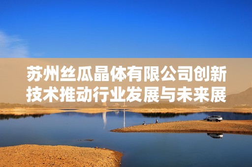 苏州丝瓜晶体有限公司创新技术推动行业发展与未来展望