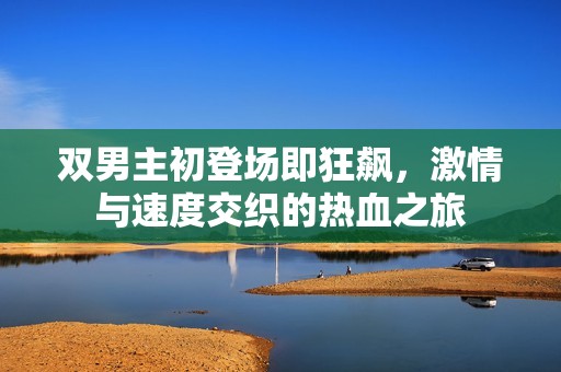 双男主初登场即狂飙，激情与速度交织的热血之旅