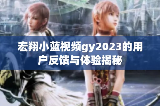 宏翔小蓝视频gy2023的用户反馈与体验揭秘