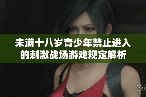未满十八岁青少年禁止进入的刺激战场游戏规定解析