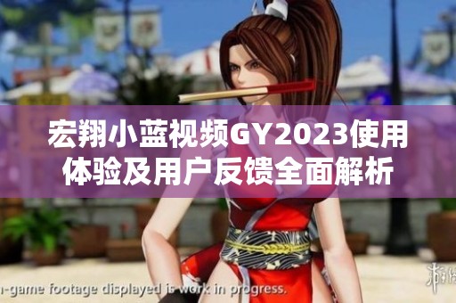 宏翔小蓝视频GY2023使用体验及用户反馈全面解析