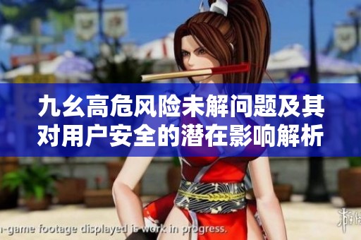 九幺高危风险未解问题及其对用户安全的潜在影响解析