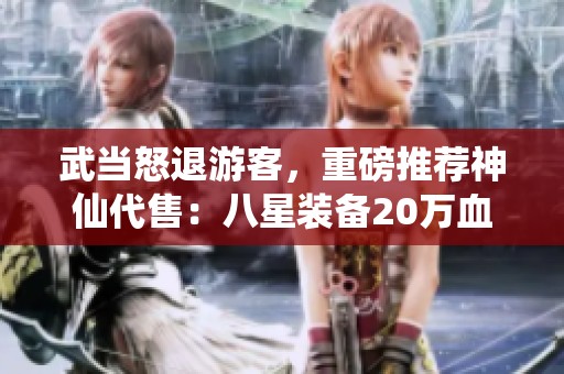 武当怒退游客，重磅推荐神仙代售：八星装备20万血12万气盛况空前