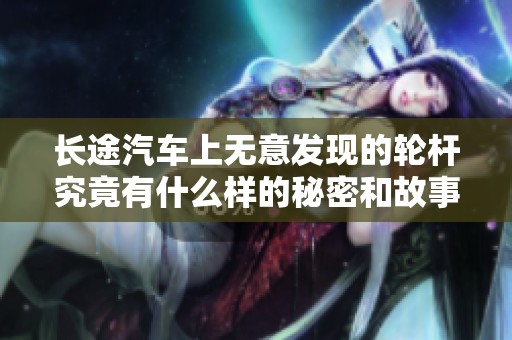 长途汽车上无意发现的轮杆究竟有什么样的秘密和故事