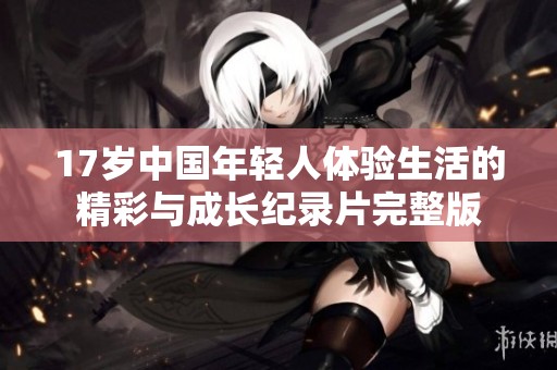 17岁中国年轻人体验生活的精彩与成长纪录片完整版