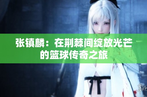 张镇麟：在荆棘间绽放光芒的篮球传奇之旅