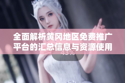 全面解析黄冈地区免费推广平台的汇总信息与资源使用建议