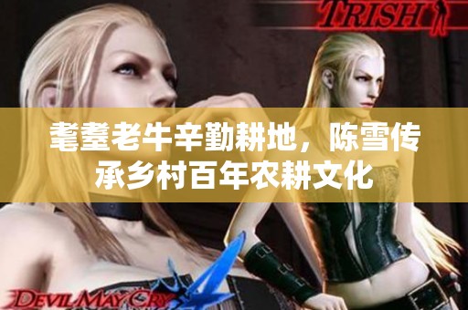 耄耋老牛辛勤耕地，陈雪传承乡村百年农耕文化
