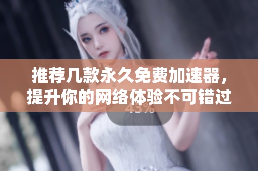 推荐几款永久免费加速器，提升你的网络体验不可错过！