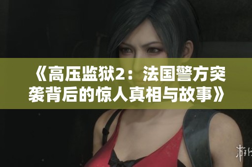 《高压监狱2：法国警方突袭背后的惊人真相与故事》