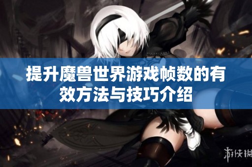 提升魔兽世界游戏帧数的有效方法与技巧介绍