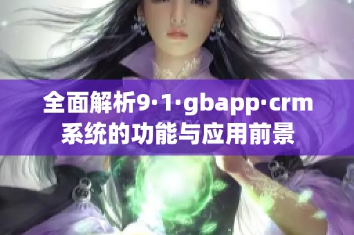 全面解析9·1·gbapp·crm系统的功能与应用前景