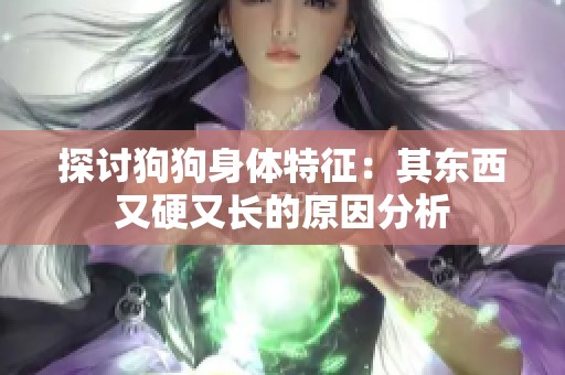 探讨狗狗身体特征：其东西又硬又长的原因分析