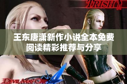 王东唐潇新作小说全本免费阅读精彩推荐与分享