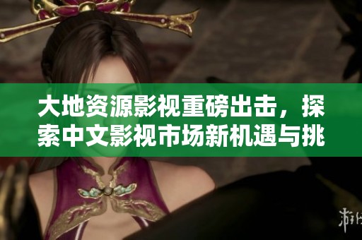 大地资源影视重磅出击，探索中文影视市场新机遇与挑战