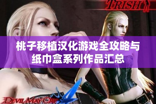 桃子移植汉化游戏全攻略与纸巾盒系列作品汇总
