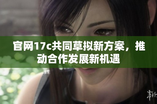 官网17c共同草拟新方案，推动合作发展新机遇