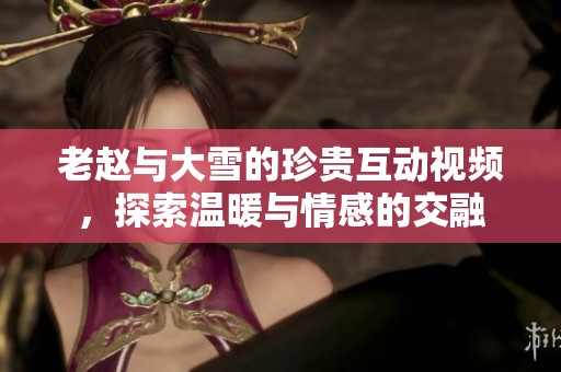老赵与大雪的珍贵互动视频，探索温暖与情感的交融