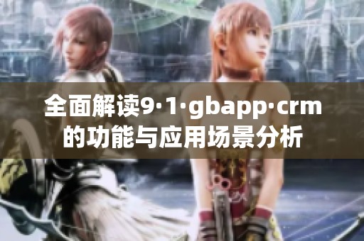 全面解读9·1·gbapp·crm的功能与应用场景分析