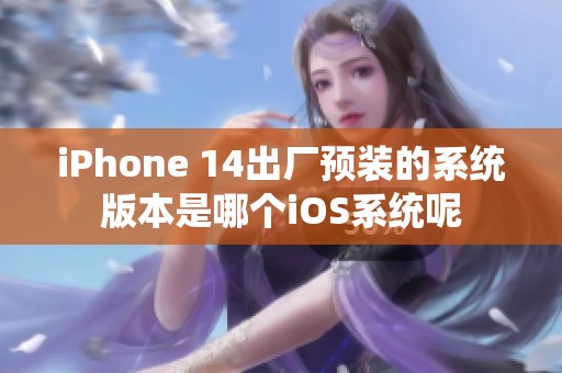 iPhone 14出厂预装的系统版本是哪个iOS系统呢