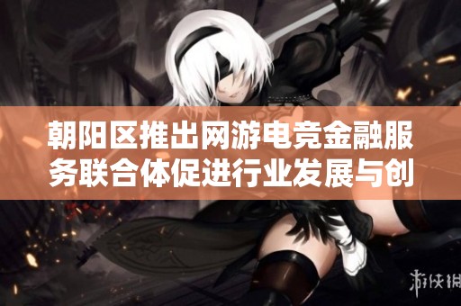 朝阳区推出网游电竞金融服务联合体促进行业发展与创新