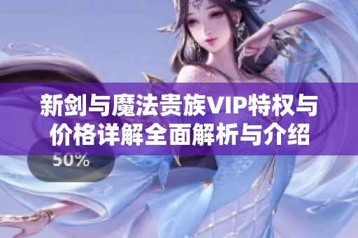 新剑与魔法贵族VIP特权与价格详解全面解析与介绍