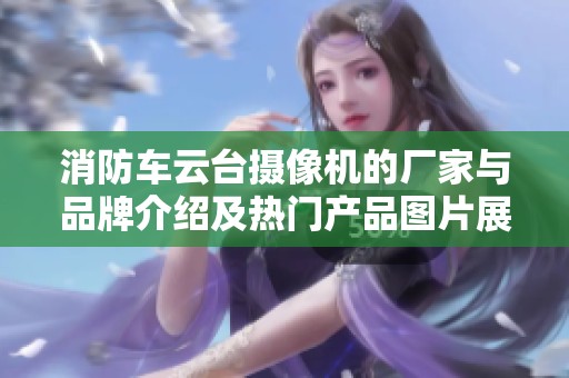 消防车云台摄像机的厂家与品牌介绍及热门产品图片展示