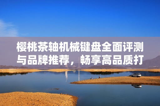 樱桃茶轴机械键盘全面评测与品牌推荐，畅享高品质打字体验