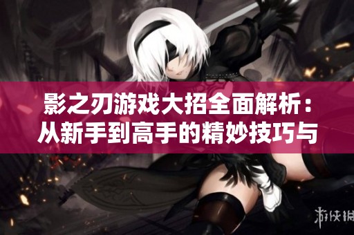 影之刃游戏大招全面解析：从新手到高手的精妙技巧与攻略