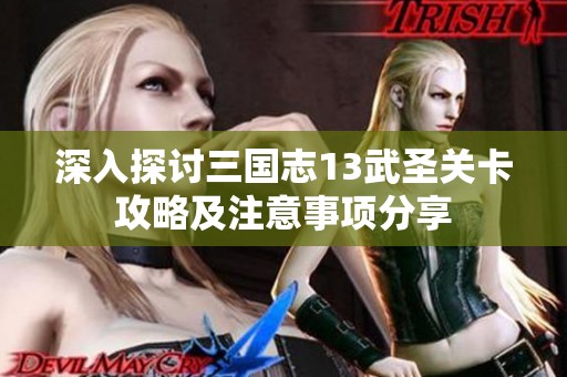 深入探讨三国志13武圣关卡攻略及注意事项分享