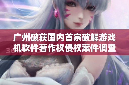 广州破获国内首宗破解游戏机软件著作权侵权案件调查行动