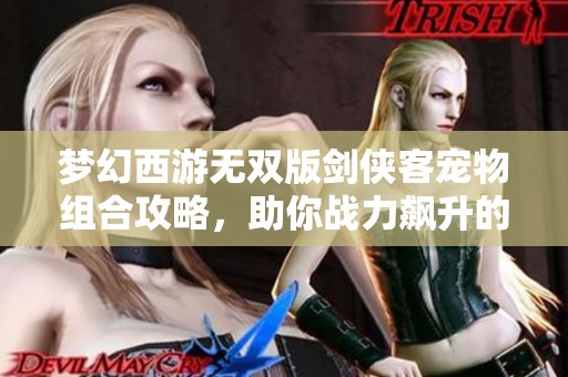 梦幻西游无双版剑侠客宠物组合攻略，助你战力飙升的秘诀解析