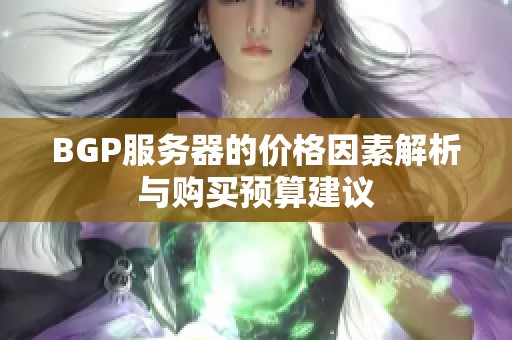 BGP服务器的价格因素解析与购买预算建议