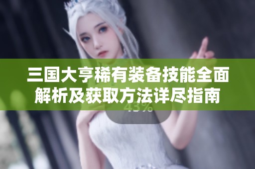 三国大亨稀有装备技能全面解析及获取方法详尽指南