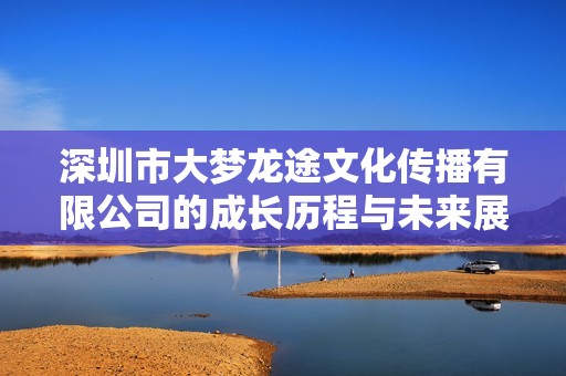 深圳市大梦龙途文化传播有限公司的成长历程与未来展望解析