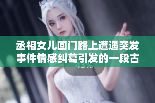 丞相女儿回门路上遭遇突发事件情感纠葛引发的一段古代故事