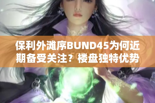 保利外滩序BUND45为何近期备受关注？楼盘独特优势解析