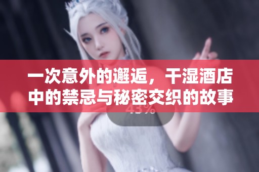 一次意外的邂逅，干湿酒店中的禁忌与秘密交织的故事